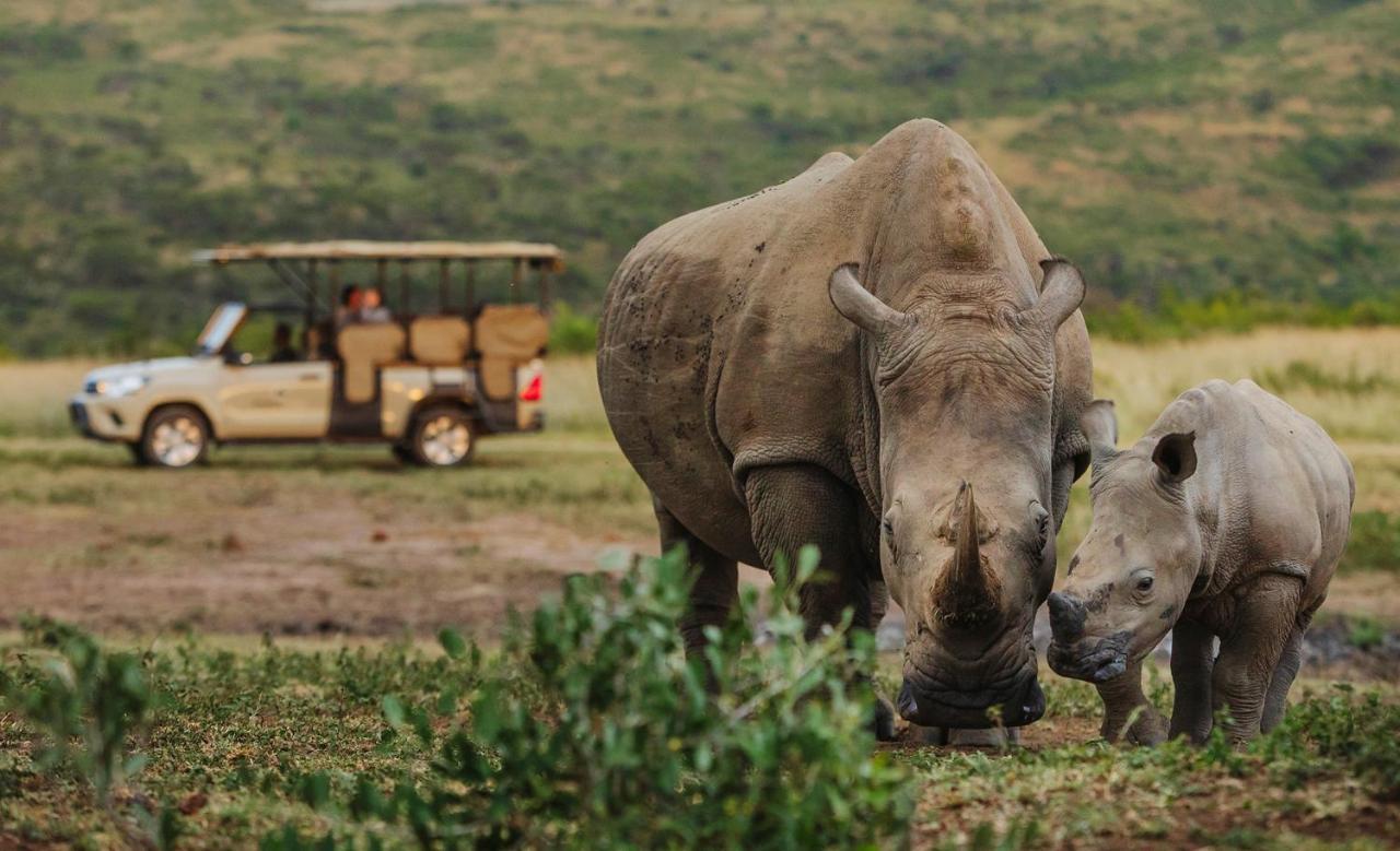 Rhino Ridge Safari Lodge KwaNompondo Exteriér fotografie