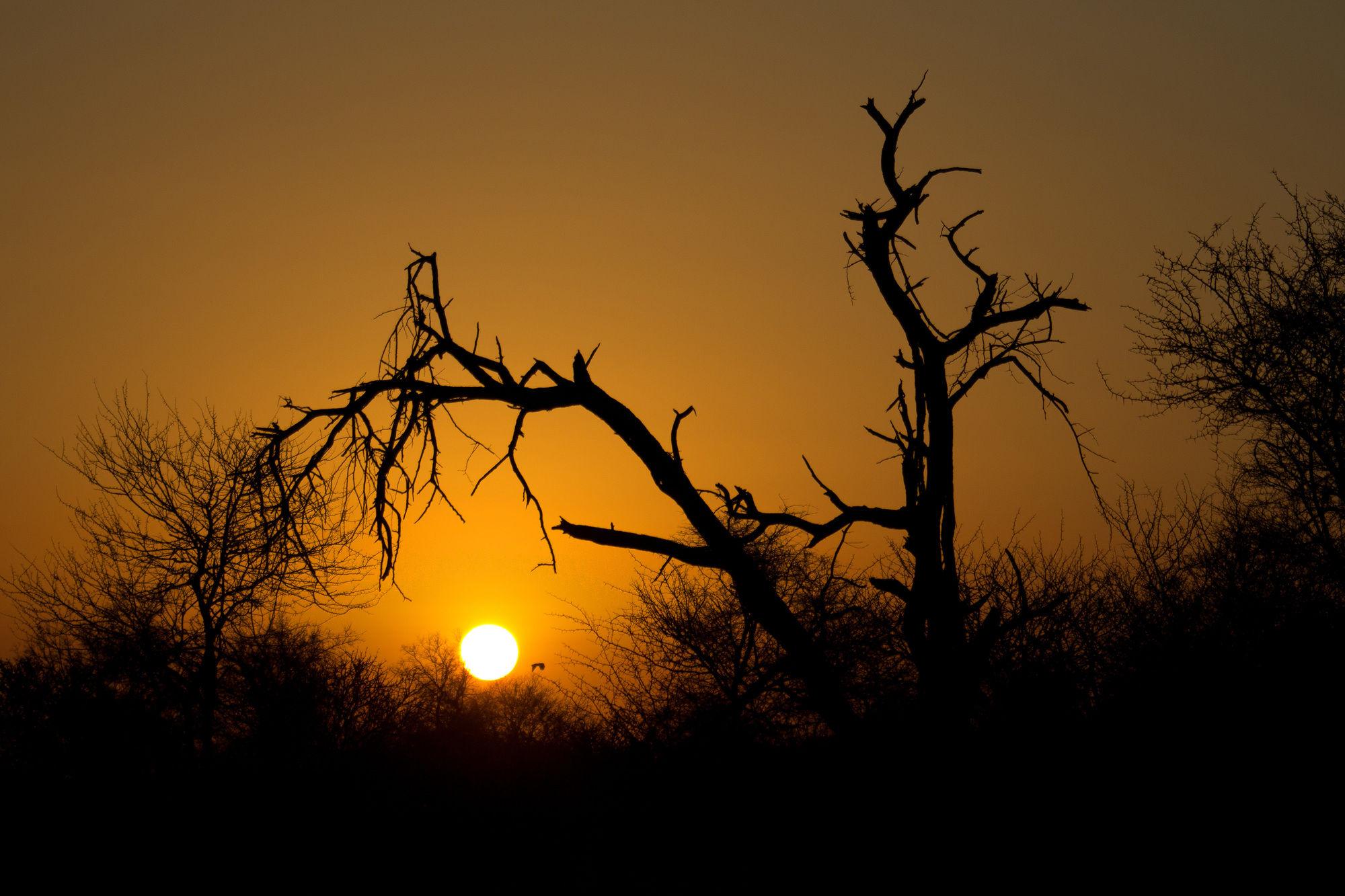 Rhino Ridge Safari Lodge KwaNompondo Exteriér fotografie